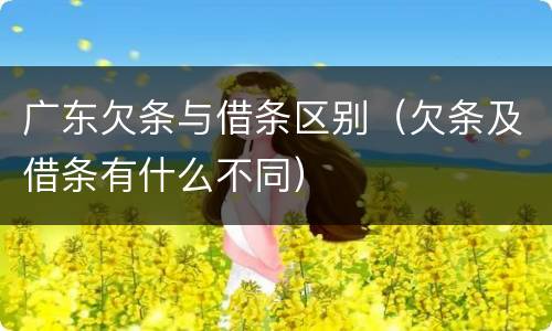 广东欠条与借条区别（欠条及借条有什么不同）