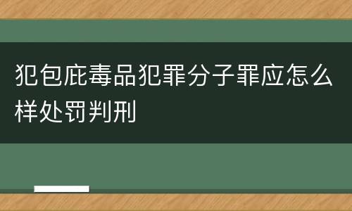 犯包庇毒品犯罪分子罪应怎么样处罚判刑