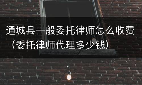 通城县一般委托律师怎么收费（委托律师代理多少钱）
