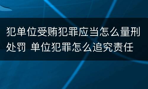 犯单位受贿犯罪应当怎么量刑处罚 单位犯罪怎么追究责任