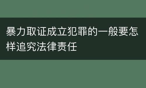 暴力取证成立犯罪的一般要怎样追究法律责任