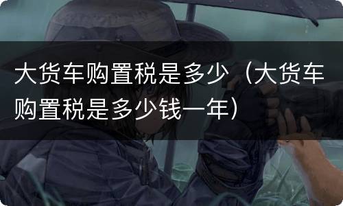 大货车购置税是多少（大货车购置税是多少钱一年）