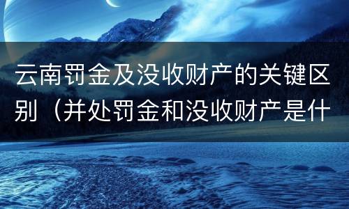 云南罚金及没收财产的关键区别（并处罚金和没收财产是什么意思）