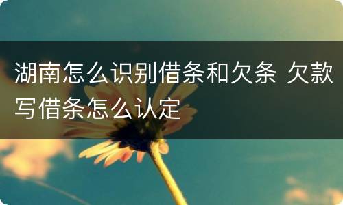 湖南怎么识别借条和欠条 欠款写借条怎么认定
