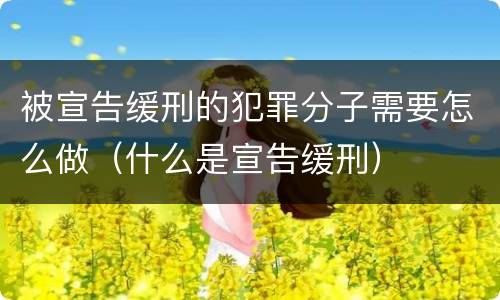 被宣告缓刑的犯罪分子需要怎么做（什么是宣告缓刑）