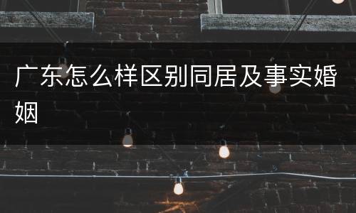 广东怎么样区别同居及事实婚姻