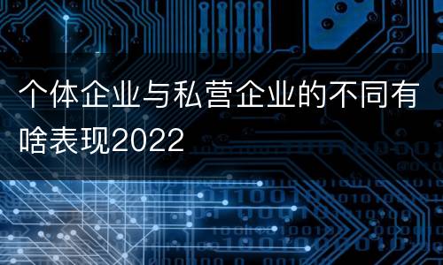 个体企业与私营企业的不同有啥表现2022