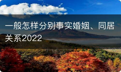 一般怎样分别事实婚姻、同居关系2022