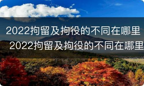 2022拘留及拘役的不同在哪里 2022拘留及拘役的不同在哪里查