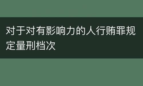 对于对有影响力的人行贿罪规定量刑档次