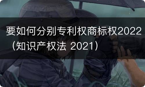 要如何分别专利权商标权2022（知识产权法 2021）