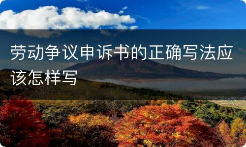 劳动争议申诉书的正确写法应该怎样写