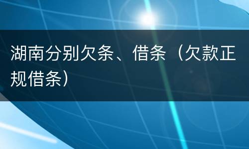 湖南分别欠条、借条（欠款正规借条）