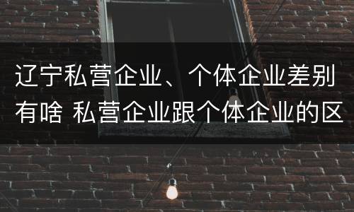 辽宁私营企业、个体企业差别有啥 私营企业跟个体企业的区别