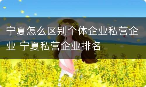 宁夏怎么区别个体企业私营企业 宁夏私营企业排名