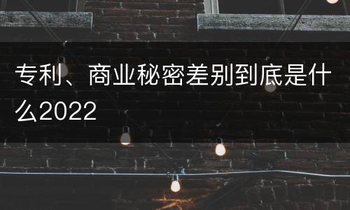 专利、商业秘密差别到底是什么2022
