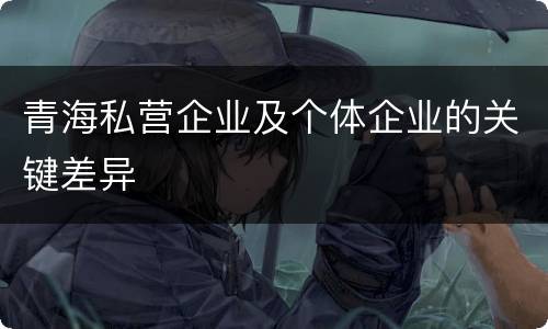 青海私营企业及个体企业的关键差异