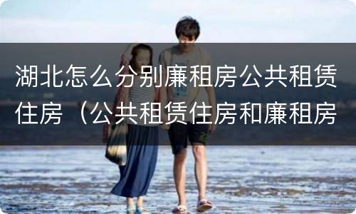 湖北怎么分别廉租房公共租赁住房（公共租赁住房和廉租房）