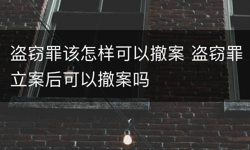 盗窃罪该怎样可以撤案 盗窃罪立案后可以撤案吗