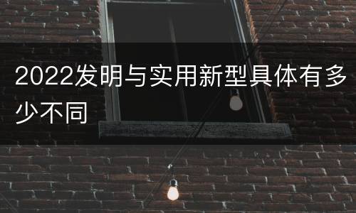 2022发明与实用新型具体有多少不同