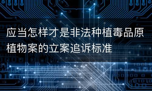 应当怎样才是非法种植毒品原植物案的立案追诉标准
