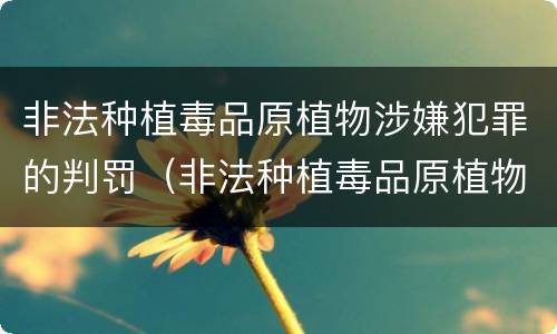 非法种植毒品原植物涉嫌犯罪的判罚（非法种植毒品原植物涉嫌犯罪的判罚）