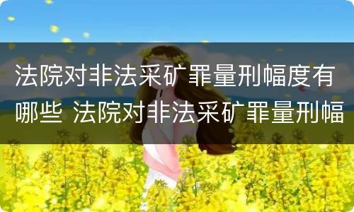 法院对非法采矿罪量刑幅度有哪些 法院对非法采矿罪量刑幅度有哪些规定
