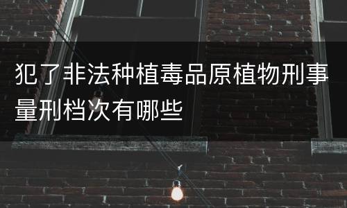 犯了非法种植毒品原植物刑事量刑档次有哪些