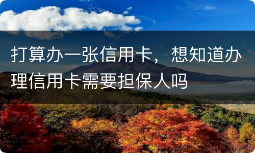 打算办一张信用卡，想知道办理信用卡需要担保人吗