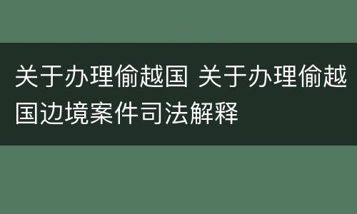 关于办理偷越国 关于办理偷越国边境案件司法解释