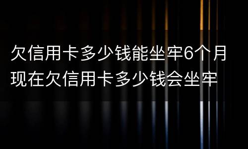 欠信用卡多少钱能坐牢6个月 现在欠信用卡多少钱会坐牢