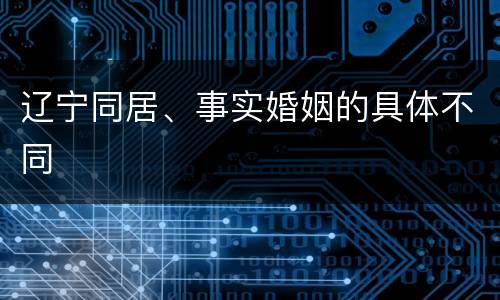 辽宁同居、事实婚姻的具体不同