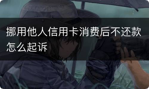 挪用他人信用卡消费后不还款怎么起诉