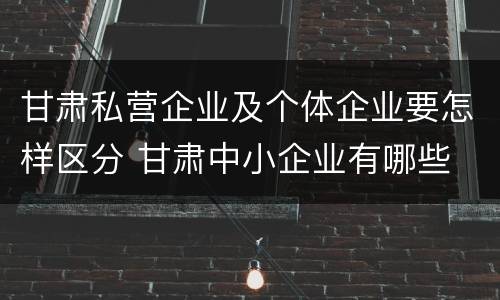 甘肃私营企业及个体企业要怎样区分 甘肃中小企业有哪些