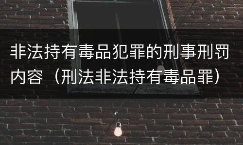 非法持有毒品犯罪的刑事刑罚内容（刑法非法持有毒品罪）
