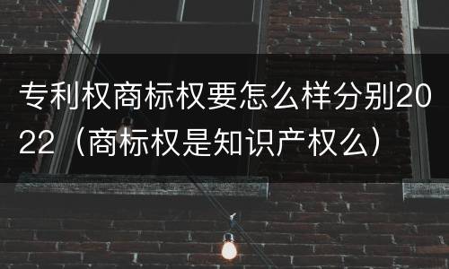 专利权商标权要怎么样分别2022（商标权是知识产权么）