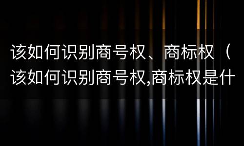 该如何识别商号权、商标权（该如何识别商号权,商标权是什么）