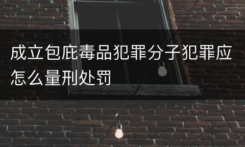 成立包庇毒品犯罪分子犯罪应怎么量刑处罚