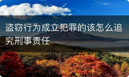 盗窃行为成立犯罪的该怎么追究刑事责任