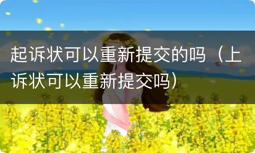 起诉状可以重新提交的吗（上诉状可以重新提交吗）