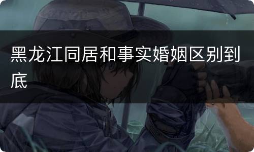 黑龙江同居和事实婚姻区别到底