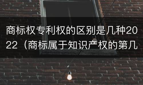 商标权专利权的区别是几种2022（商标属于知识产权的第几类）