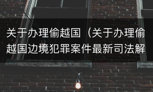 关于办理偷越国（关于办理偷越国边境犯罪案件最新司法解释）