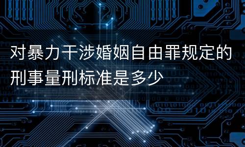对暴力干涉婚姻自由罪规定的刑事量刑标准是多少