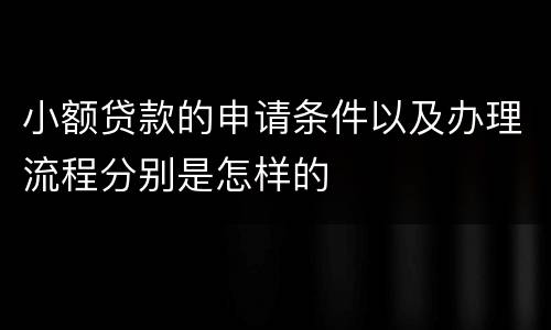 小额贷款的申请条件以及办理流程分别是怎样的