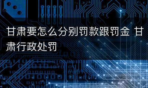 甘肃要怎么分别罚款跟罚金 甘肃行政处罚