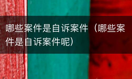 哪些案件是自诉案件（哪些案件是自诉案件呢）