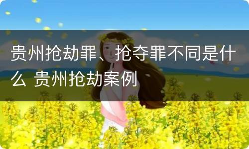 贵州抢劫罪、抢夺罪不同是什么 贵州抢劫案例