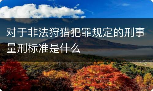 对于非法狩猎犯罪规定的刑事量刑标准是什么