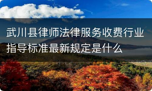 武川县律师法律服务收费行业指导标准最新规定是什么